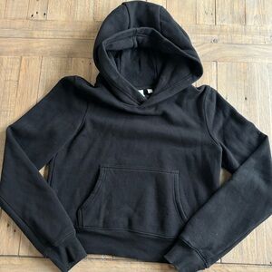 Aritzia hoodie